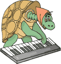 tartaruga pianola.gif